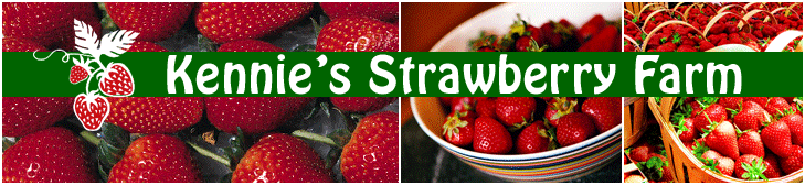 Kennie's Strawberry Farm